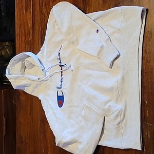 Champion Hoodie, Never Worn.